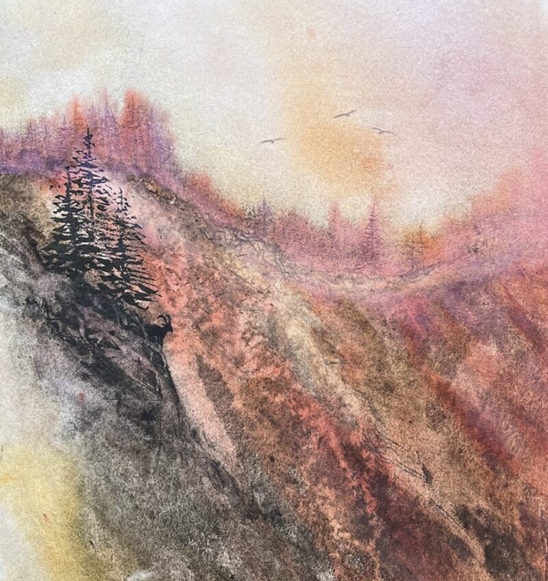 Tirages d'Art numérotés