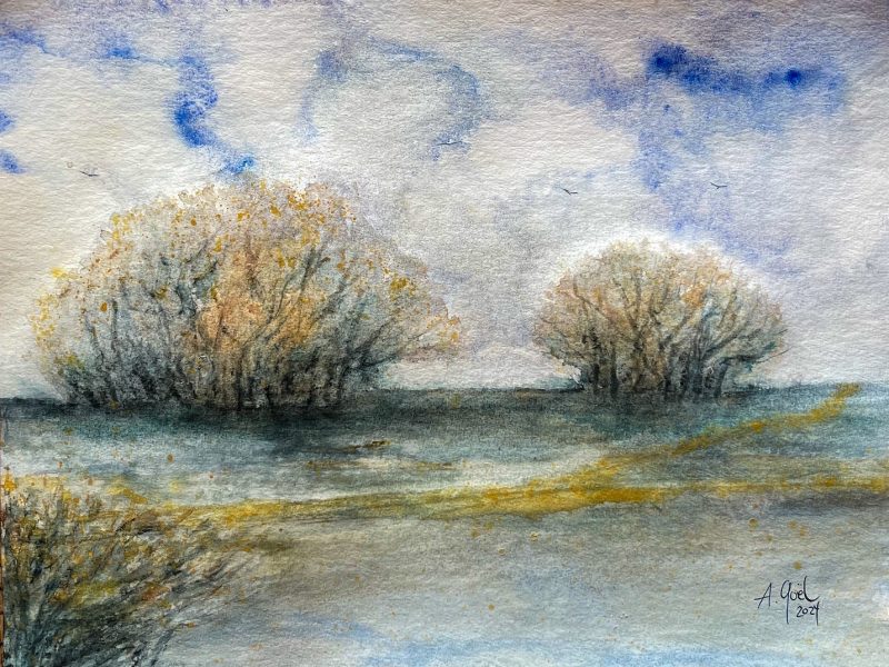 Aquarelle, buissons et étangs